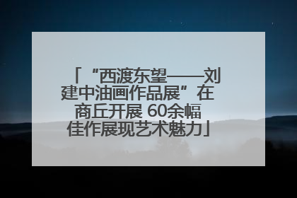 “西渡东望——刘建中油画作品展”在商丘开展 60余幅佳作展现艺术魅力