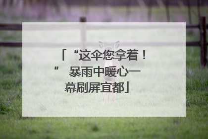 “这伞您拿着！” 暴雨中暖心一幕刷屏宜都