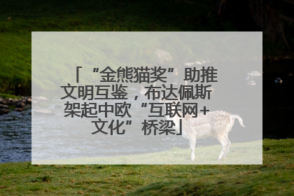 “金熊猫奖”助推文明互鉴，布达佩斯架起中欧“互联网+文化”桥梁