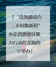 “青海源动力，乡村焕新程”央企消费帮扶聚力行动在青海西宁举办