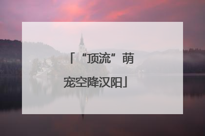 “顶流”萌宠空降汉阳
