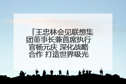 王忠林会见联想集团董事长兼首席执行官杨元庆 深化战略合作 打造世界级光电子信息产业集群