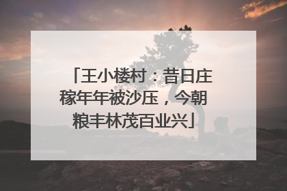 王小楼村：昔日庄稼年年被沙压，今朝粮丰林茂百业兴