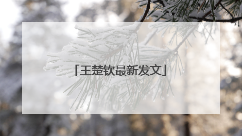 王楚钦最新发文