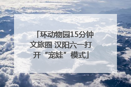 环动物园15分钟文旅圈 汉阳六一打开“宠娃”模式
