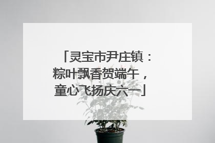 灵宝市尹庄镇：粽叶飘香贺端午，童心飞扬庆六一
