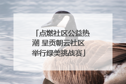 点燃社区公益热潮 呈贡朝云社区举行绿美挑战赛