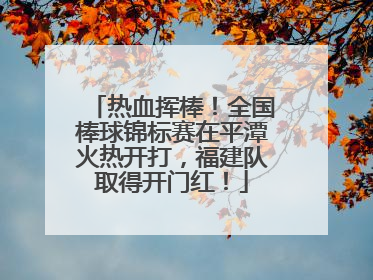 热血挥棒！全国棒球锦标赛在平潭火热开打，福建队取得开门红！