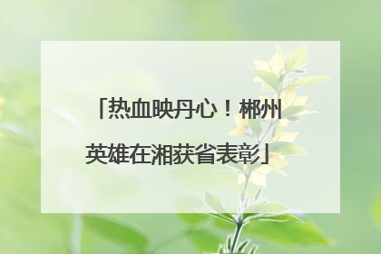 热血映丹心！郴州英雄在湘获省表彰