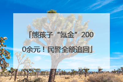 熊孩子“氪金”2000余元！民警全额追回