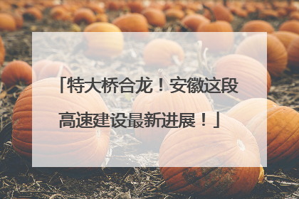 特大桥合龙！安徽这段高速建设最新进展！