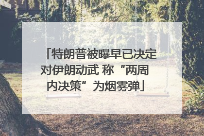 特朗普被曝早已决定对伊朗动武 称“两周内决策”为烟雾弹