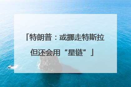特朗普：或挪走特斯拉 但还会用“星链”