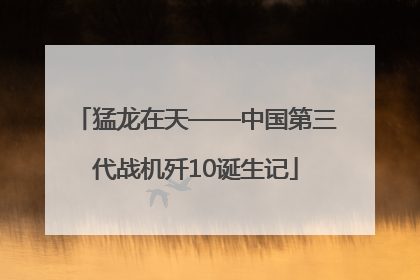 猛龙在天——中国第三代战机歼10诞生记