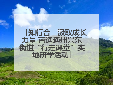 知行合一汲取成长力量 南通通州兴东街道“行走课堂”实地研学活动