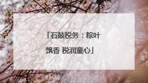 石鼓税务：粽叶飘香 税润童心