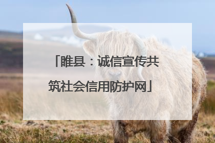 睢县：诚信宣传共筑社会信用防护网
