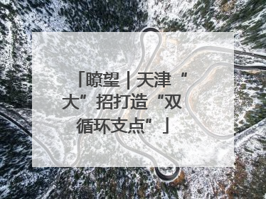瞭望｜天津“大”招打造“双循环支点”