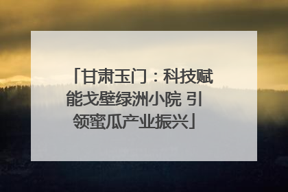 甘肃玉门：科技赋能戈壁绿洲小院 引领蜜瓜产业振兴