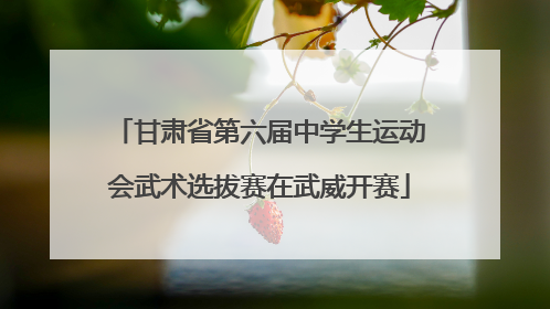 甘肃省第六届中学生运动会武术选拔赛在武威开赛