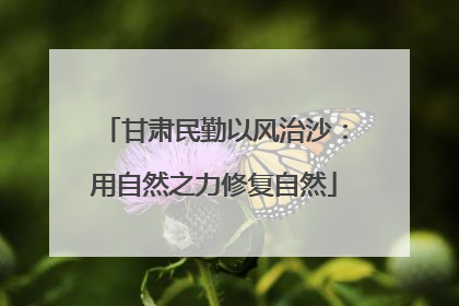 甘肃民勤以风治沙：用自然之力修复自然