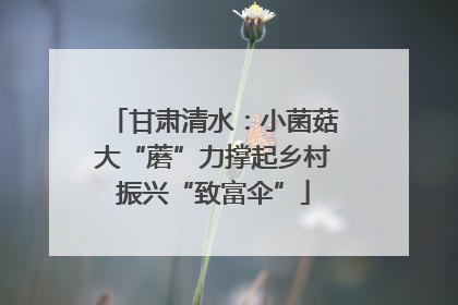 甘肃清水：小菌菇大“蘑”力撑起乡村振兴“致富伞”