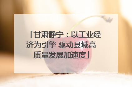 甘肃静宁：以工业经济为引擎 驱动县域高质量发展加速度
