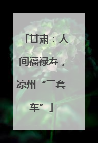 甘肃：人间福禄寿，凉州“三套车”