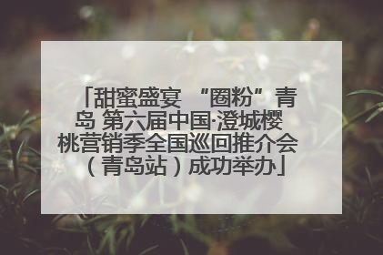 甜蜜盛宴 “圈粉”青岛 第六届中国·澄城樱桃营销季全国巡回推介会（青岛站）成功举办