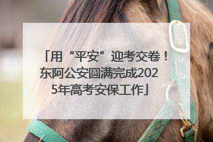 用“平安”迎考交卷！东阿公安圆满完成2025年高考安保工作