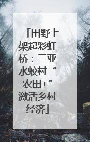 田野上架起彩虹桥：三亚水蛟村“农田+”激活乡村经济