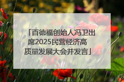 百德福创始人冯卫出席2025民营经济高质量发展大会并发言