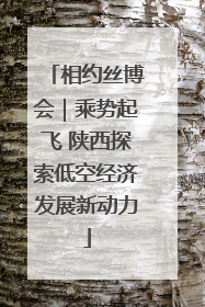 相约丝博会｜乘势起飞 陕西探索低空经济发展新动力