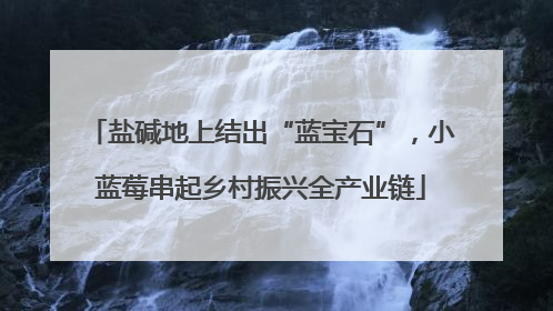 盐碱地上结出“蓝宝石”，小蓝莓串起乡村振兴全产业链