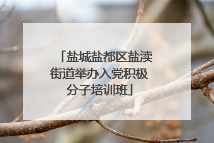 盐城盐都区盐渎街道举办入党积极分子培训班