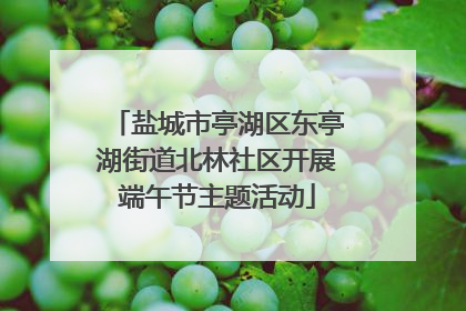 盐城市亭湖区东亭湖街道北林社区开展端午节主题活动