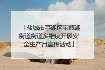 盐城市亭湖区宝瓶湖街道街道多维度开展安全生产月宣传活动