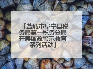 盐城市阜宁县税务局第一税务分局开展廉政警示教育系列活动