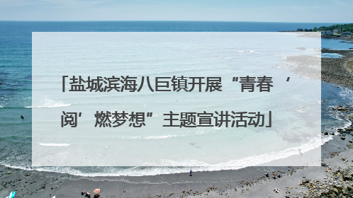 盐城滨海八巨镇开展“青春‘阅’燃梦想”主题宣讲活动