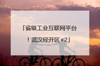 省级工业互联网平台！武汉经开区+2
