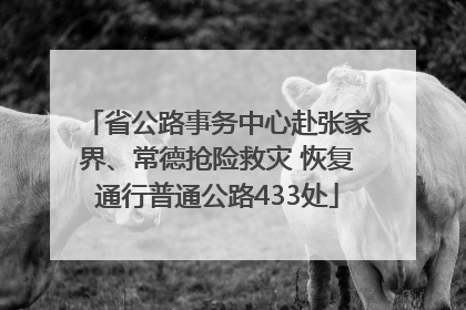 省公路事务中心赴张家界、常德抢险救灾 恢复通行普通公路433处