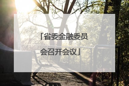 省委金融委员会召开会议