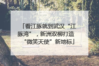 看江豚就到武汉“江豚湾”，新洲双柳打造“微笑天使”新地标