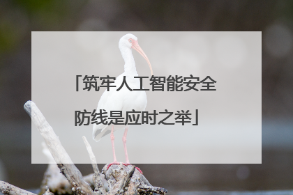 筑牢人工智能安全防线是应时之举
