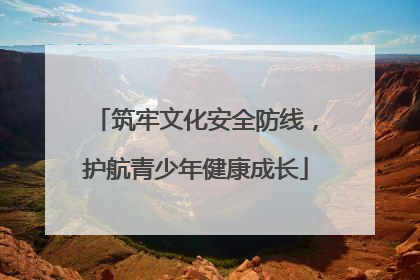筑牢文化安全防线，护航青少年健康成长