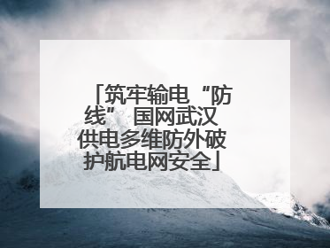 筑牢输电“防线” 国网武汉供电多维防外破护航电网安全