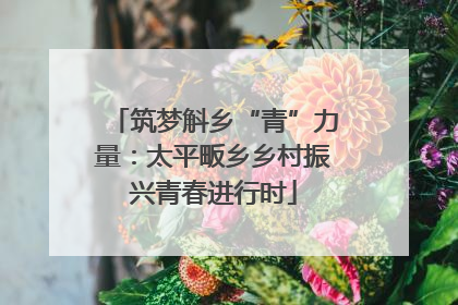 筑梦斛乡“青”力量：太平畈乡乡村振兴青春进行时