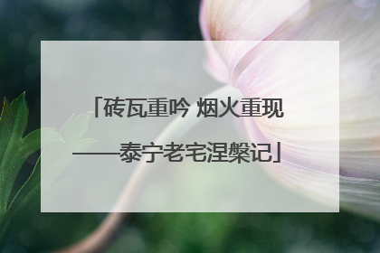 砖瓦重吟 烟火重现——泰宁老宅涅槃记