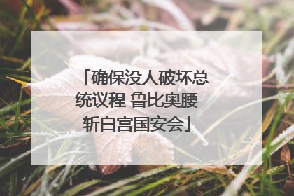 确保没人破坏总统议程 鲁比奥腰斩白宫国安会