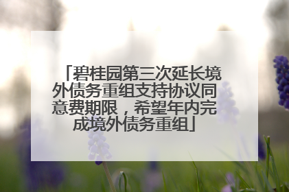 碧桂园第三次延长境外债务重组支持协议同意费期限，希望年内完成境外债务重组